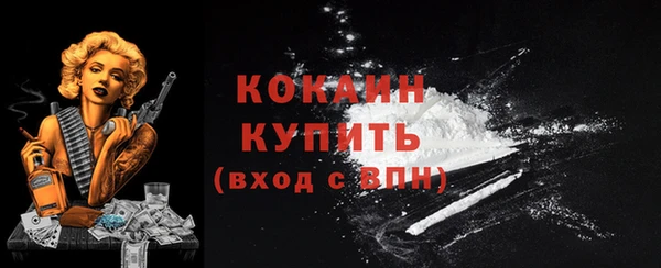 СК Покачи