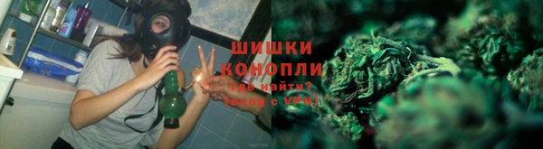 СК Покачи