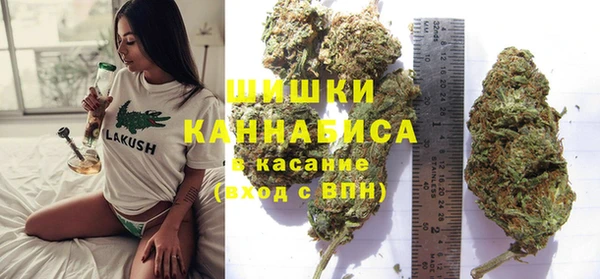 СК Покачи