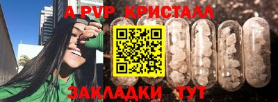 apvp Краснодар