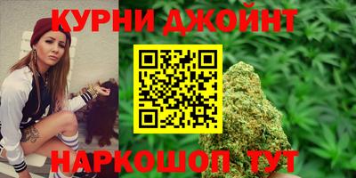 apvp Краснодар