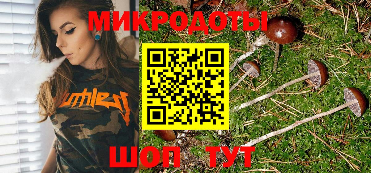 Галлюциногенные грибы прущие грибы  Коряжма  Галлюциногенные грибы прущие грибы 