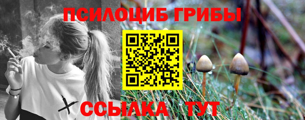 Галлюциногенные грибы Magic Shrooms Коряжма
