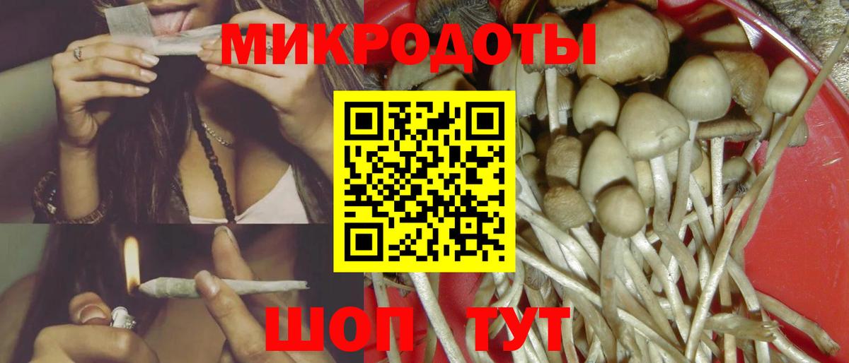 Псилоцибиновые грибы Psilocybe  Коряжма 